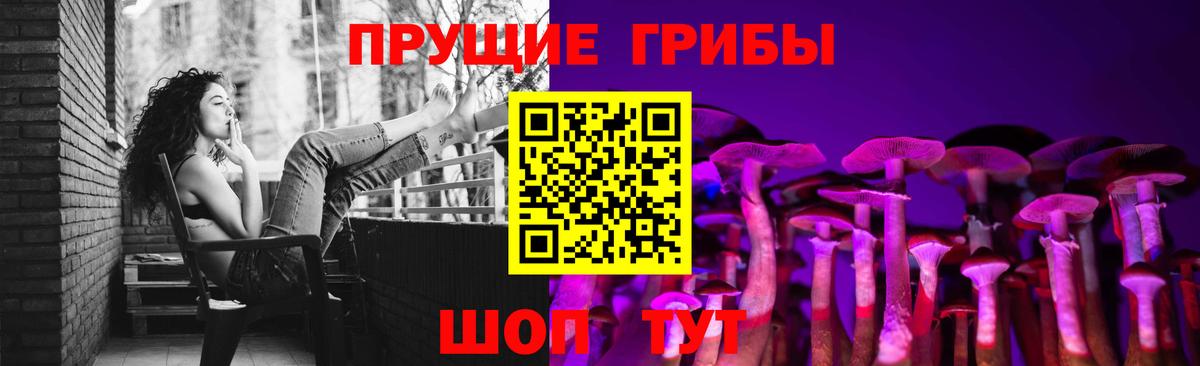 Волхов  Галлюциногенные грибы Psilocybe  Вход с VPN 